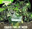 Grave Full of Weed