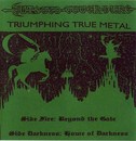 Triumphing True Metal