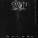 Secrets of the Forest