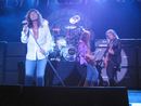 The Rock& Roll, Rhythm & Blues Show