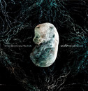 Morphogenesis