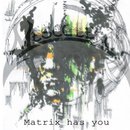 Matrix Has You