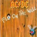 Fly on the Wall