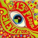 The Psychedelic Sounds of the 13th Floor Elevators