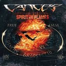 Spirit in Flames