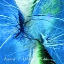 Aarni / Umbra Nihil Split