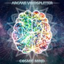 Cosmic Mind