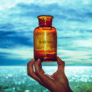 Blackfield V