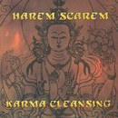 Karma Cleansing