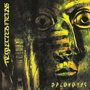 Splenetic