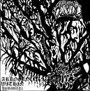 Arrogance Within Humanity