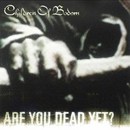 Доклад: Children of Bodom