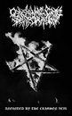 Anointed by the Crimson Veil