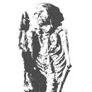 Seminated Fossae​ /​ Pale Seduction