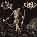 Doom Is Dead