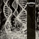 Dissonance Theory