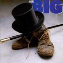 Mr. Big