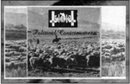 Political Consciousness