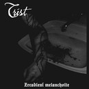 Zrcadlení Melancholie