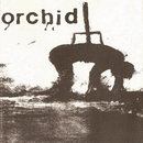 Orchid / Pig Destroyer