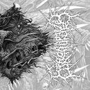 Perseveration of Delirious Comprehensiveness