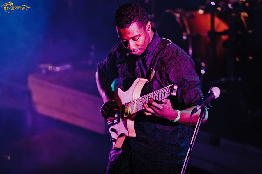 Animals as Leaders 