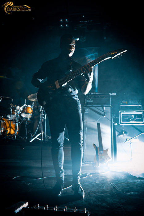 Animals as Leaders 