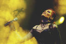 Sirenia 