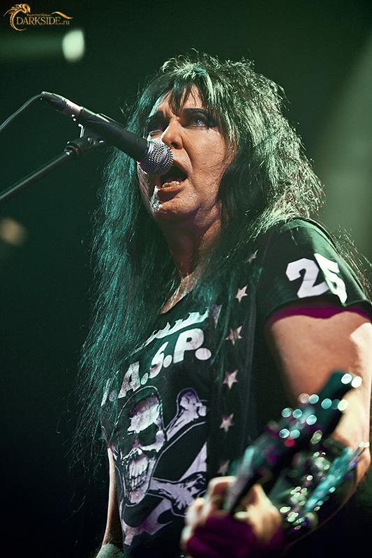 W.A.S.P. 