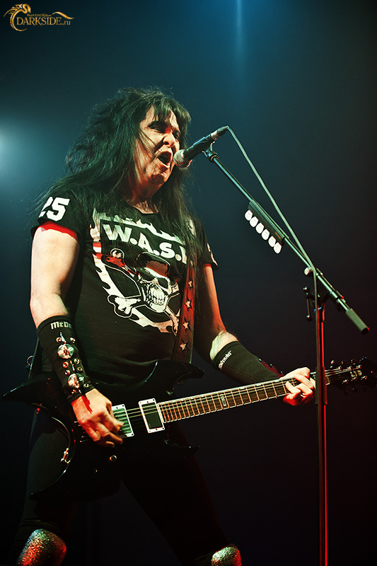 W.A.S.P. 