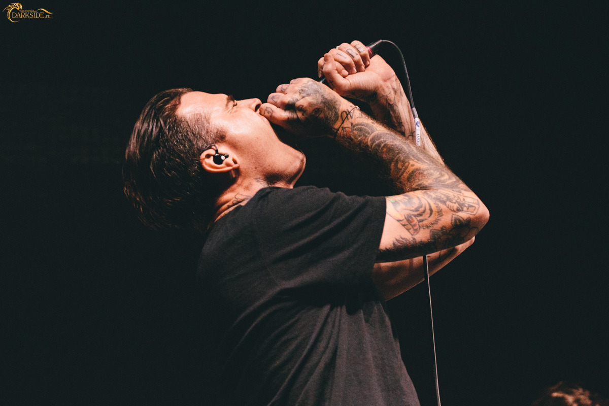 The Amity Affliction 