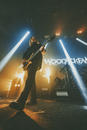 Woodscream 